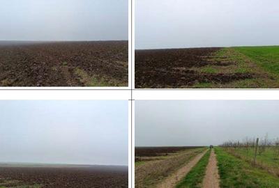 Teren de 15000 mp, în Limanu - 7