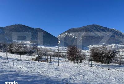 Teren de 1000 mp, în Tohănița