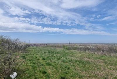 Teren Construcții intravilan de 4300 mp, în Comana - 3