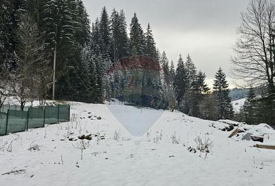 Teren in Bucovina, intravilan 3824 mp Deia-Frumosu, Suceava - 10