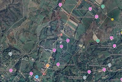 Teren Construcții intravilan de 4500 mp, în Tohanu Nou - 3