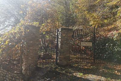 Casă cu 5 camere cu Teren 4200 Mp în Băile Herculane - 1