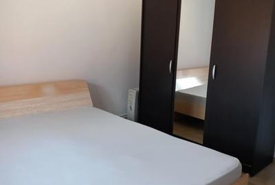Apartament 2 camere, mobilat, pet friendly - 5