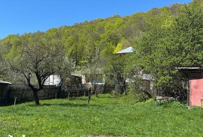 Teren de 1002 mp, în Valea Mare - 17
