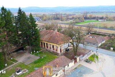 Casă cu Teren 2655 Mp în Târnova - 10