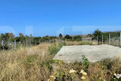 Casă cu 4 camere cu Teren 1657 Mp în Viile Satu Mare - 4