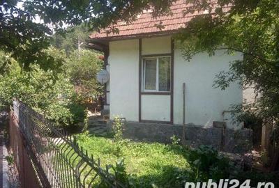 Casă cu 4 camere cu Teren 340 Mp în Castelul Peleș - 5