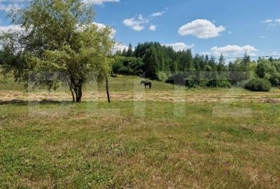 2 Case la pret de una, la doar 10 km de centrul orasului - 7