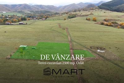 Teren  extravilan 2500 mp in Orlat - 1