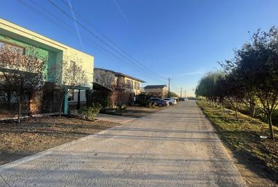 Teren 655 mp Sânandrei - 5