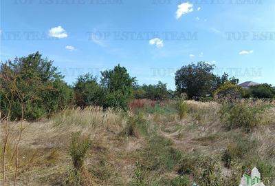 Teren intravilan in localitatea Cornetu cu deschidere mare, ideal pentru dezvolt Teren intravilan in localitatea Cornetu cu deschidere mare, ideal pentru dezvolt - 6