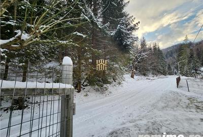 Casa de Vacanta in Bucovina! Munte - Rarau! De Vanzare! 0727817187 Casa de Vacanta in Bucovina! Munte - Rarau! De Vanzare! 0727817187 - 11