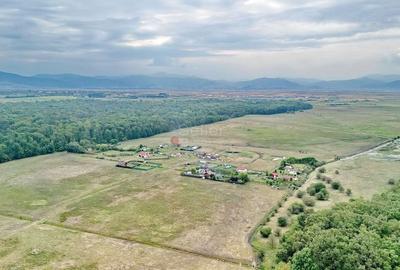 Teren Extravilan - 5