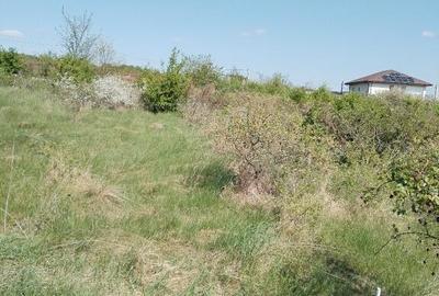 Teren 680mp Valea Adanca Joldea Voda Miroslava - 1