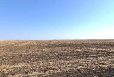 Teren extravilan Putineiu, ID: R2718957 - 5