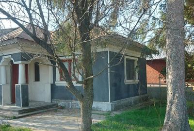 Teren intravilan Buftea Flamanzeni - 2