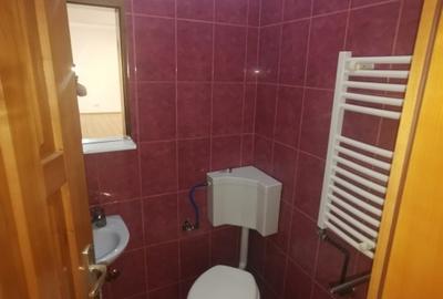 Casă individuală cu 9 camere cu Canalizare în Blașcovici - 15