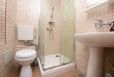 Garsonieră mobilată, Iacob Felix - Piața Victoriei - 10