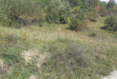 Teren de 5117 mp, în Central - 3