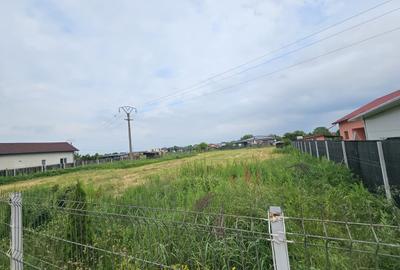 Teren în Snagov - 4