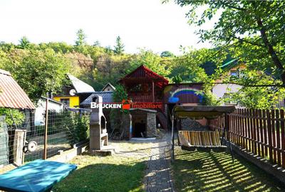 LOCUINTA TA DE VIS IN PADUREA NEAGRA - 4