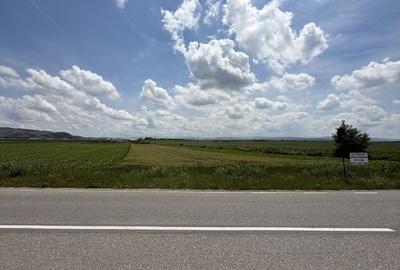 Teren de 4600 mp, în Vințu de Jos - 2
