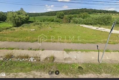 Spațiu comercial, în Remetea - 3