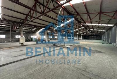 Spațiu comercial, de 9,000 mp, în Leu - 7