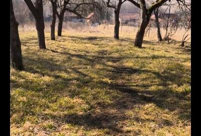 Teren de 2848 mp, în Aghireșu - 3