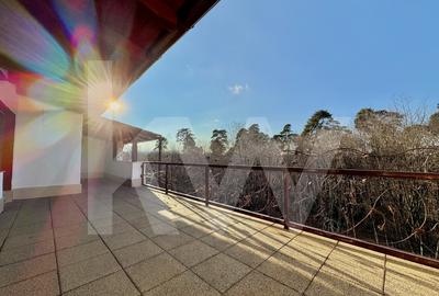 Vila superba in Parcul Sub Arini– Ideala pentru Rezidenta sau Business - 28