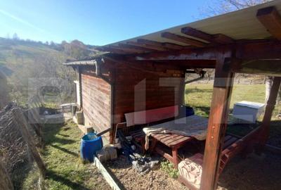 Teren 300 mp + Cabana,zona Livezile,Valea Lunga - 3