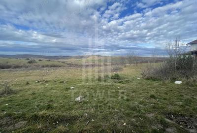 Teren de 1800 mp, în Roșia - 7