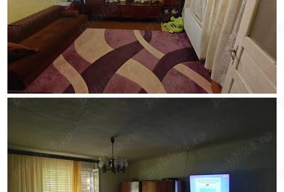 Vand casa la 35 km de Timisoara - 3