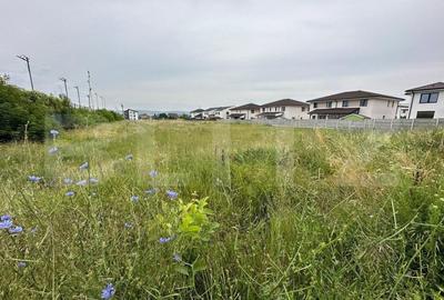 Teren intravilan, 7441mp, zona Lidl Cetate - 2