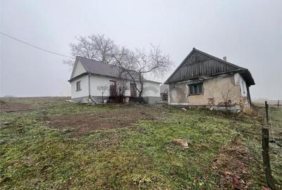 RECO, casa in Sinteu, aproape de Huta Slavia - 24