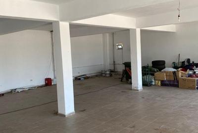 Spatiu Comercial de Inchiriat Ulmi DN71 HALA 140MP+800MP TEREN - 2