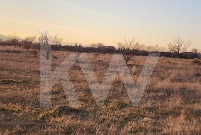 Oportunitate investitie | De vanzare, 3 parcele de 560 mp. - 2