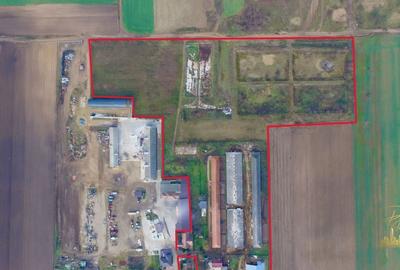 Domeniu - Centru de colectare, 7 ha de vanzare in Valea lui Mihai - 6