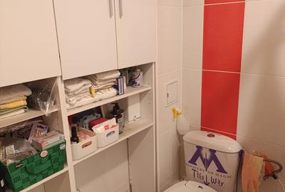 Apartament cu 3 camere semidecomandat, mobilat în Ozana - 29