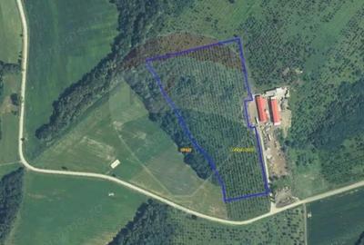 Teren 70,808mp ( sat Cuied - comuna Buteni ) - 3