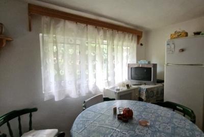 Balilesti - Stradal, casa spatioasa, 4600 mp teren intravilan - curte spatioasa - 16