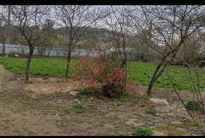 Casă cu 2 camere cu Teren 2000 Mp în Axintele - 2