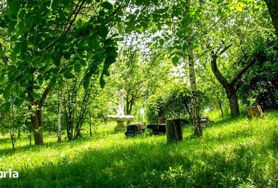 Teren de 14000 mp, în Mihai Viteazu - 6