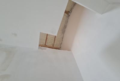 Ultima Vila disponibila, P+1E+Pod, 4 camere - 9