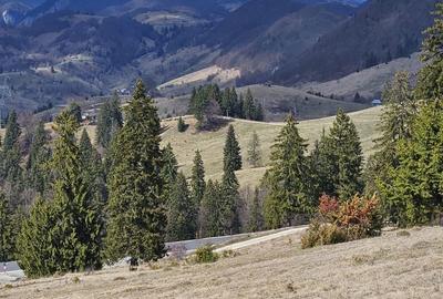 Spațiu comercial, în Dâmbovicioara - 8