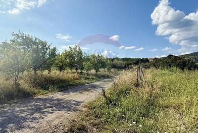 Teren de 700 mp, în Tăuții-Măgherăuș - 4