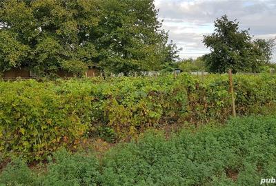 Casă cu 3 camere cu Teren 9228 Mp în Sălceni - 5