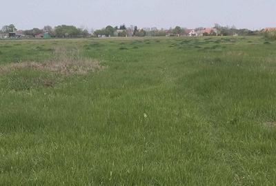 Casă cu Teren 65 Mp în Căuașd - 3