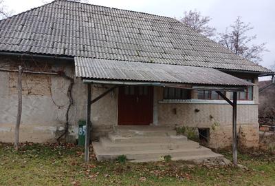 Casă individuală cu 5 camere cu Teren 25000 Mp în Preoteasa - 1