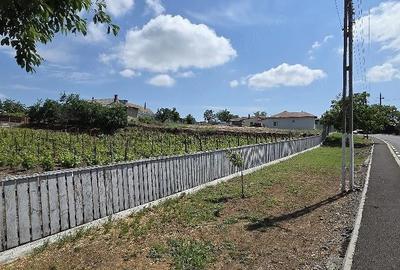 Teren de 928 mp, în Nufăru - 1